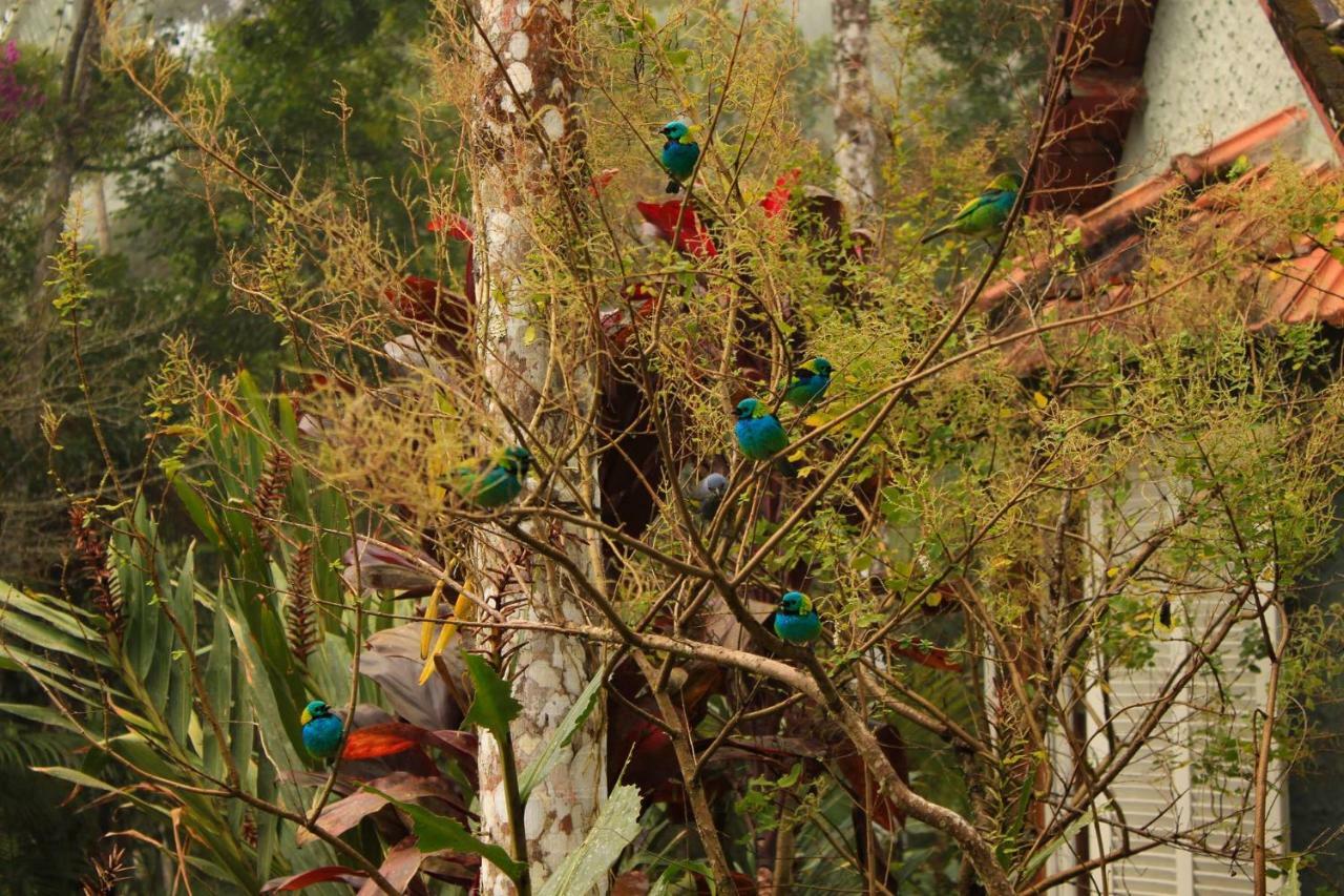 Quarto Varanda - Residencia Gaia Itatiaia Itatiaia  Kültér fotó